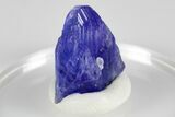 Brilliant Blue-Violet Tanzanite Crystal - Merelani Hills, Tanzania #178333-2